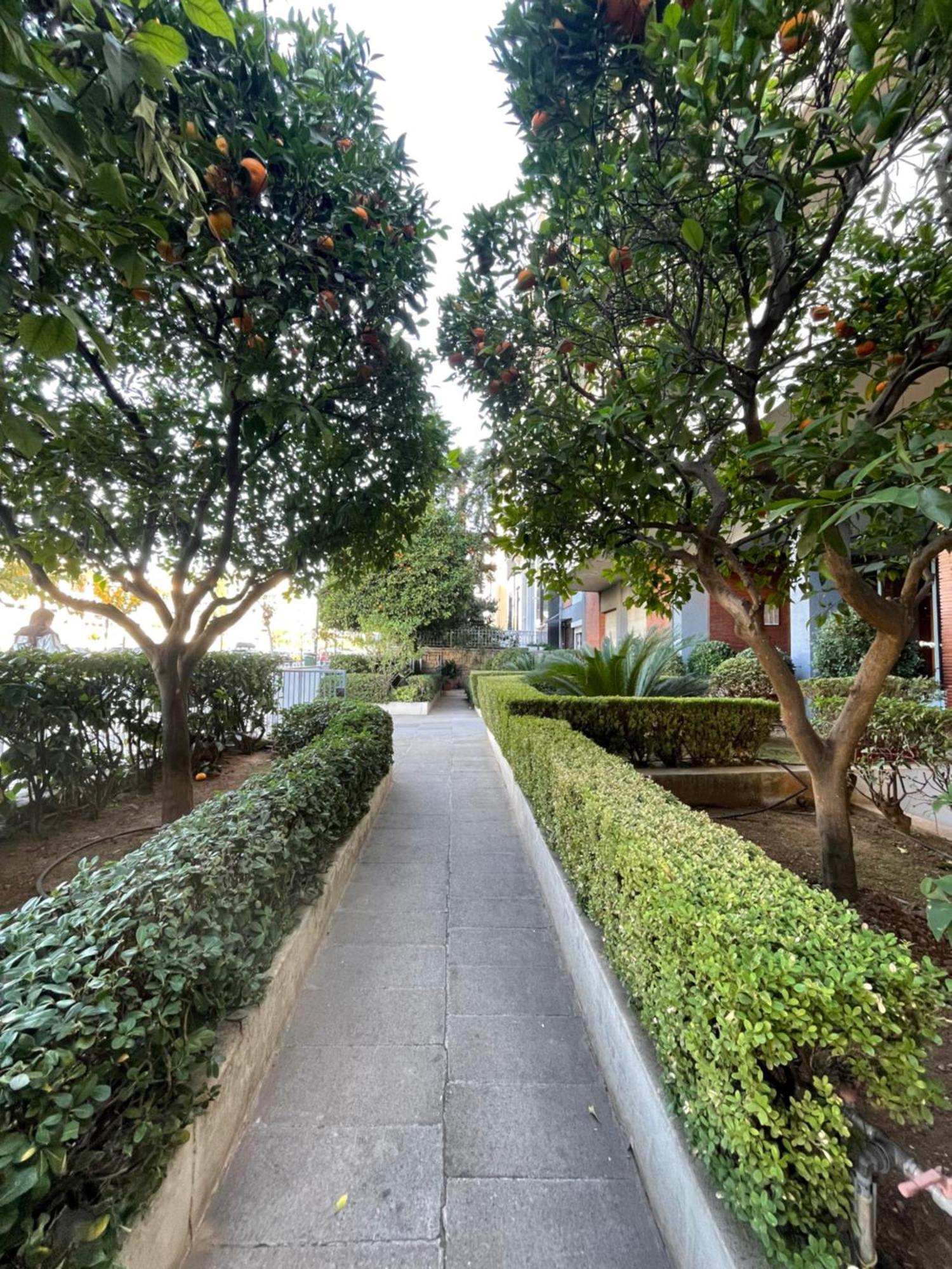 Cozy Apartment Ideally Located City Center And Megaron Moussikis Metro Station Atene Esterno foto